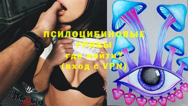 винт Алзамай