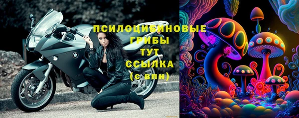 винт Алзамай
