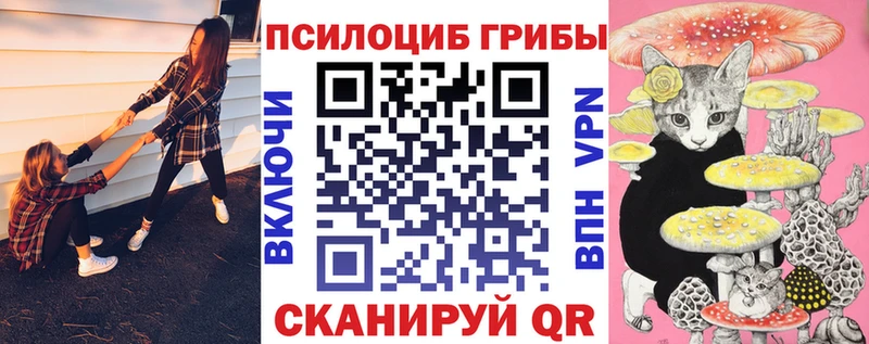 Галлюциногенные грибы Psilocybine cubensis  купить наркотик  Ардон 